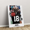 Personalized Football Pet Portrait, Las Vegas Football Dog Cat Portrait, Custom Pet Canvas Poster, Football Lovers’ Gift, Digital Download