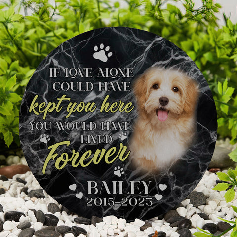 Image of Personalized Pet Memorial Stone With Photo, You Would Have Lived Forever Dog Cat Stone, Pet Memorial Gifts, Pet Loss Gifts