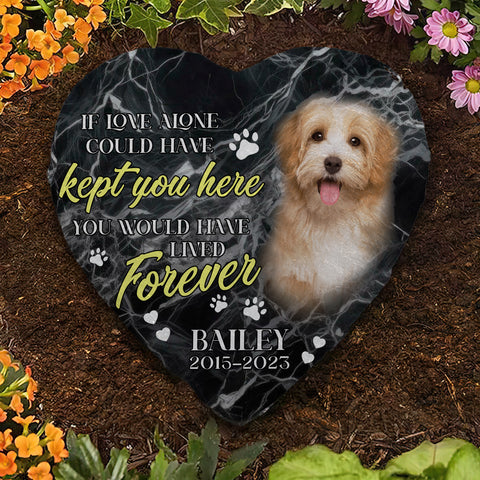 Image of Personalized Pet Memorial Stone With Photo, You Would Have Lived Forever Dog Cat Stone, Pet Memorial Gifts, Pet Loss Gifts
