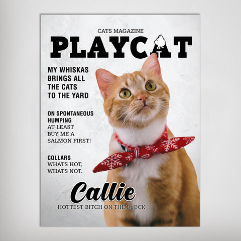 Image of A 'Playcat' Personalized Pet Poster Canvas Print | Personalized Dog Cat Prints | Magazine Covers | Custom Pet Portrait from Photo