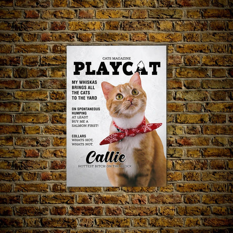 Image of A 'Playcat' Personalized Pet Poster Canvas Print | Personalized Dog Cat Prints | Magazine Covers | Custom Pet Portrait from Photo