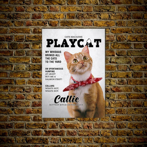 A 'Playcat' Personalized Pet Poster Canvas Print | Personalized Dog Cat Prints | Magazine Covers | Custom Pet Portrait from Photo