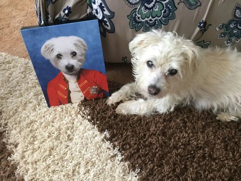 Image of USA MADE Personalized Pet Portrait on Canvas, Poster or Digital Download | Commander In Mischief - Renaissance Inspired Custom Pet Portrait