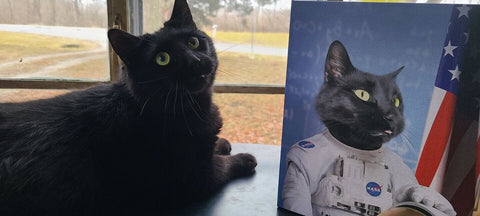 Image of USA MADE Personalized Pet Portrait on Canvas, Poster or Digital Download | Astrofun - NASA Astronaut Inspired Custom Pet Portrait Canvas| Cu