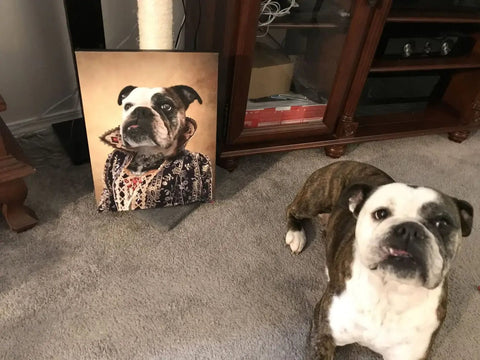 Image of USA MADE Personalized Pet Portrait on Canvas, Poster or Digital Download | Countess Crows - Renaissance Inspired Custom Pet Portrait Canvas|