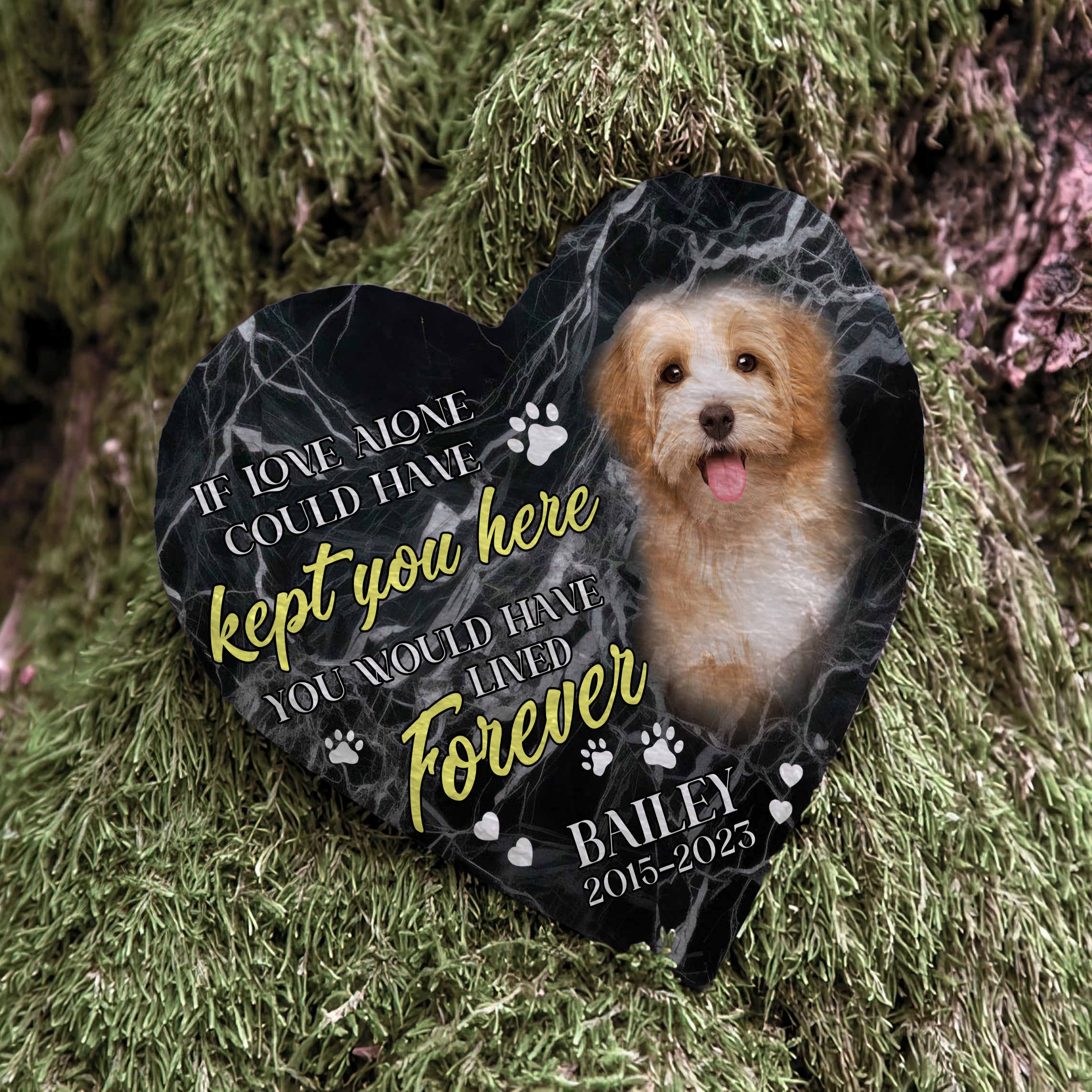 Personalized Pet Memorial Stone With Photo, You Would Have Lived Forever Dog Cat Stone, Pet Memorial Gifts, Pet Loss Gifts