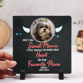 Personalized Pet Memorial Stone With Photo, 