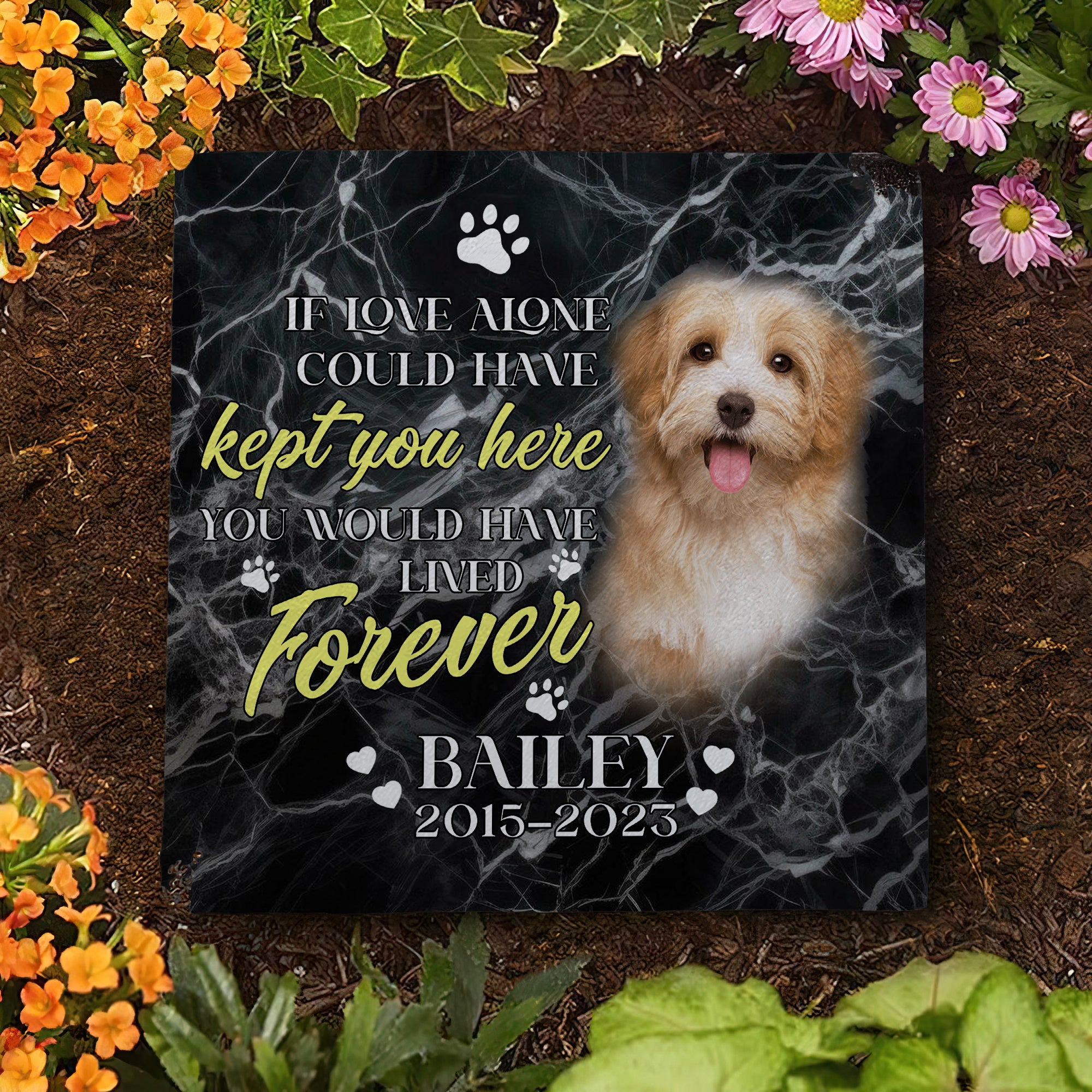 Personalized Pet Memorial Stone With Photo, You Would Have Lived Forever Dog Cat Stone, Pet Memorial Gifts, Pet Loss Gifts