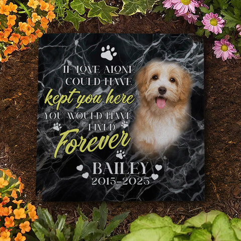 Image of Personalized Pet Memorial Stone With Photo, You Would Have Lived Forever Dog Cat Stone, Pet Memorial Gifts, Pet Loss Gifts