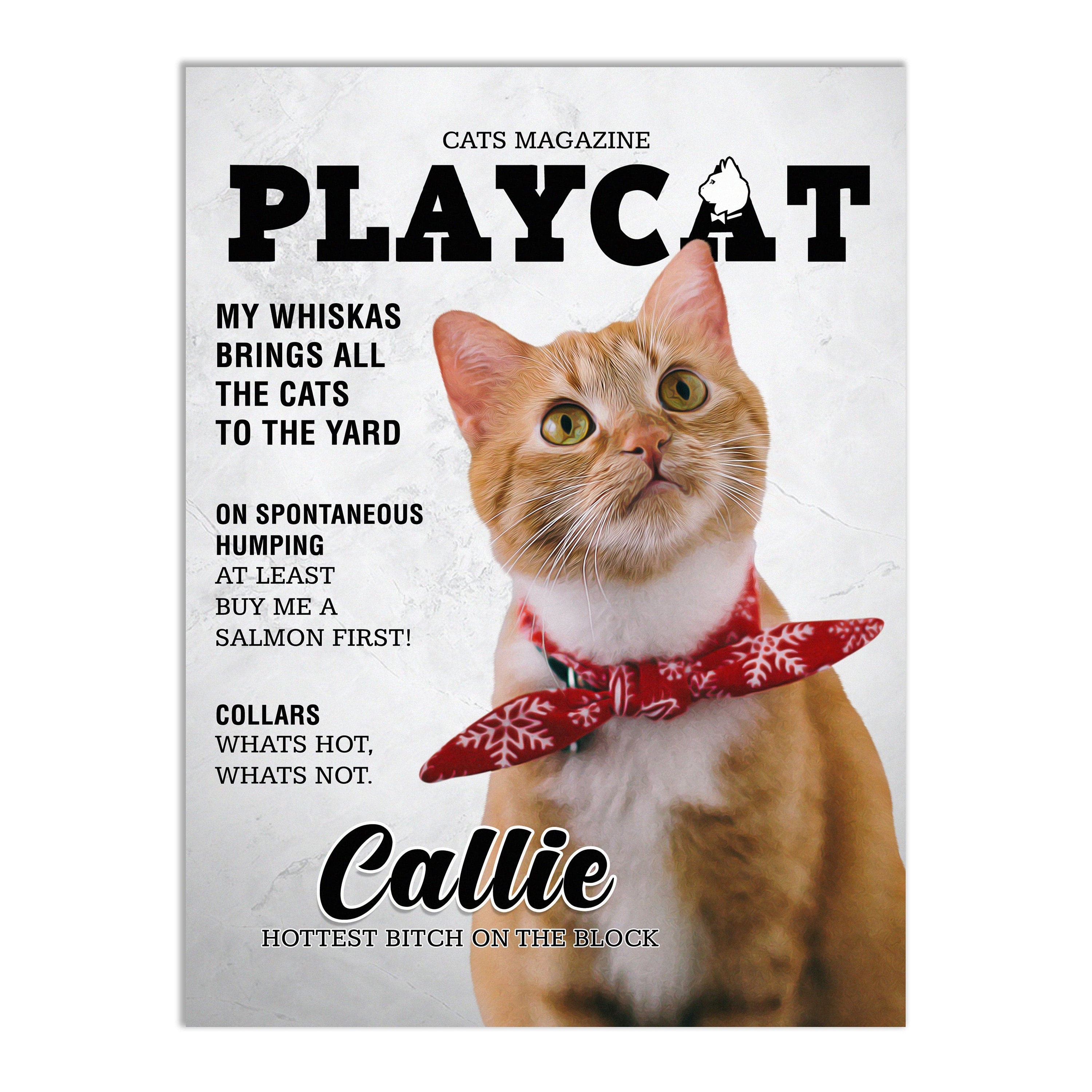 A 'Playcat' Personalized Pet Poster Canvas Print | Personalized Dog Cat Prints | Magazine Covers | Custom Pet Portrait from Photo