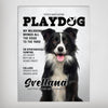 A 'Playdog' Personalized Pet Poster Canvas Print | Personalized Dog Cat Prints | Magazine Covers | Custom Pet Portrait from Photo | Personal
