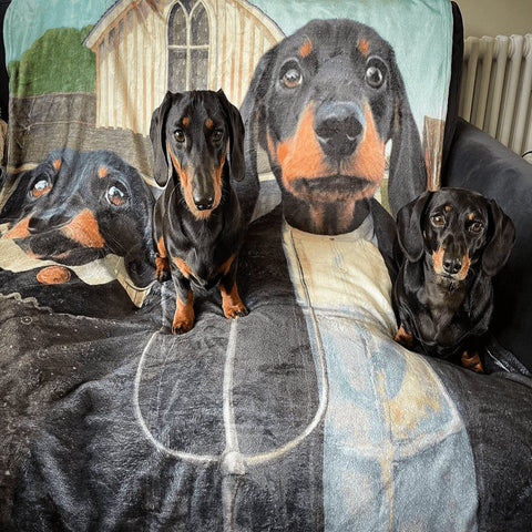 Image of USA MADE Personalized Pet Portrait Photo Blanket | The American Gothic - Custom Pet Blanket, Dog Cat Animal Photo Throw