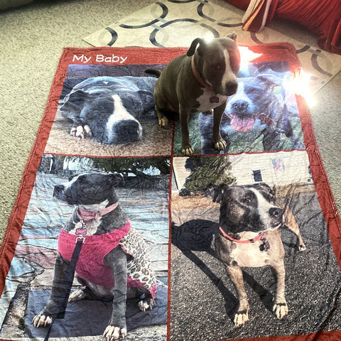 Image of USA MADE Personalized Pet Blanket | Custom Pet Photo Collage Editable Color Fleece Blanket with 4 Pet Photos, Pet Photo Throw, Dog Cat Mom
