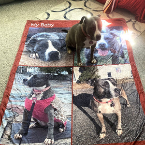 USA MADE Personalized Pet Blanket | Custom Pet Photo Collage Editable Color Fleece Blanket with 4 Pet Photos, Pet Photo Throw, Dog Cat Mom