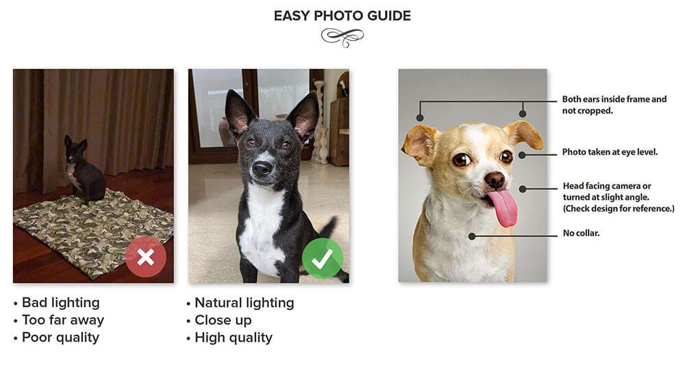 USA MADE Personalized Pet Portrait on Canvas, Poster or Digital Download | Dragon The Chain - Game of Thrones Inspired Custom Pet Portrait C