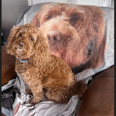 Image of USA MADE Personalized Pet Portrait Photo Blanket | The Ice Hockey Player - Custom Pet Blanket, Dog Cat Animal Photo Throw