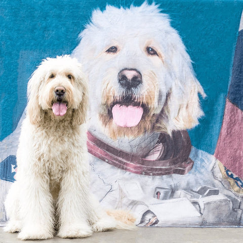 Image of USA MADE Personalized Pet Portrait Photo Blanket | The Astronaut - Custom Pet Blanket, Dog Cat Animal Photo Throw