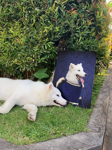 USA MADE Personalized Pet Portrait on Canvas, Poster or Digital Download | Cleopatme - Cleopatra of Egypt Inspired Custom Pet Portrait Canva