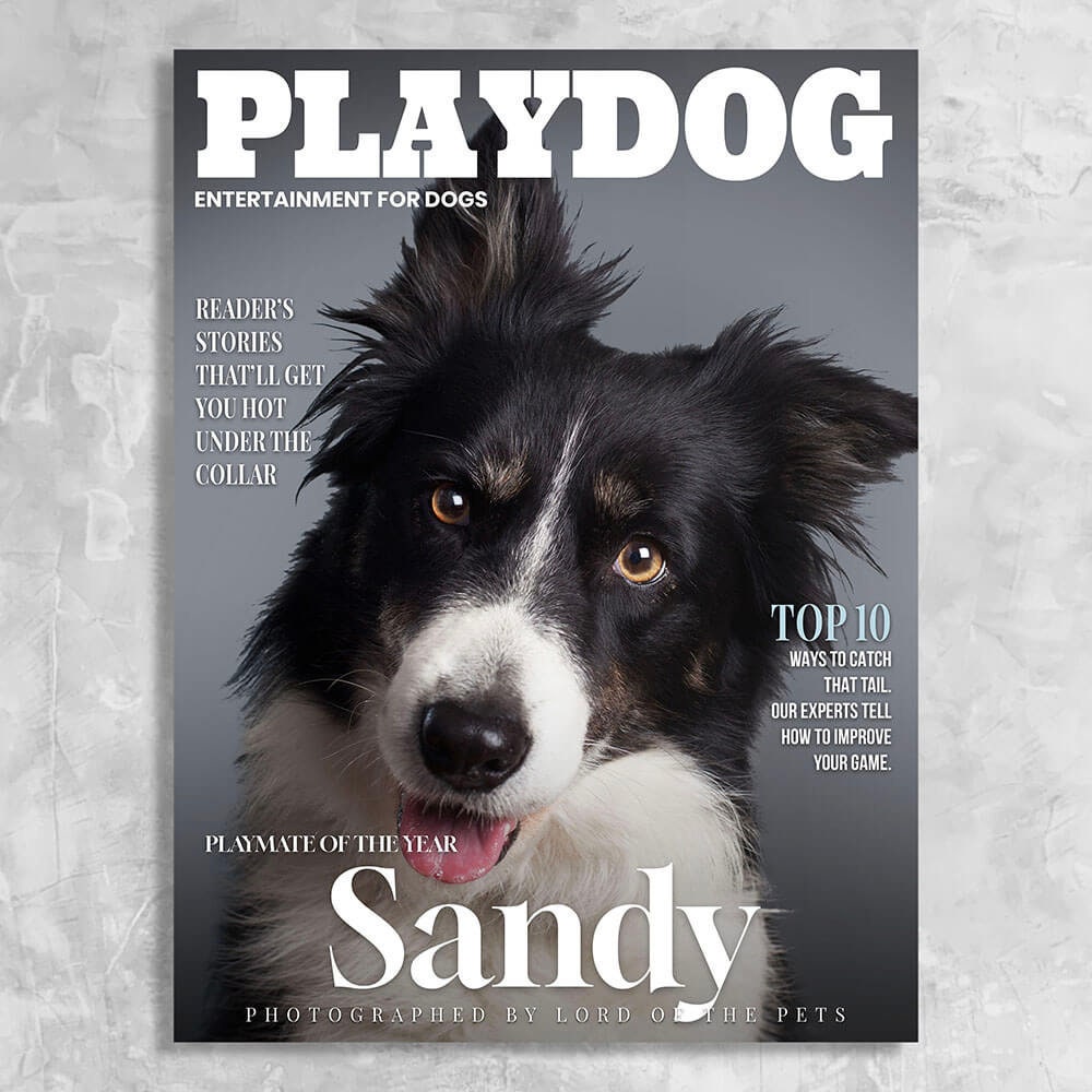 USA MADE Playdog - Personalized Dog Magazine Cover Canvas Print | Personalized Pet Portrait on Canvas, Poster or Digital Download