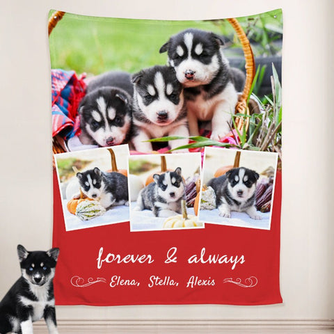Image of USA MADE Personalized Pet Blanket | Photo Blanket Personalized with Pet Pictures, Custom Dog Blanket from Pet Photo, Pet Photo Throw blanket