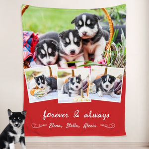 USA MADE Personalized Pet Blanket | Photo Blanket Personalized with Pet Pictures, Custom Dog Blanket from Pet Photo, Pet Photo Throw blanket