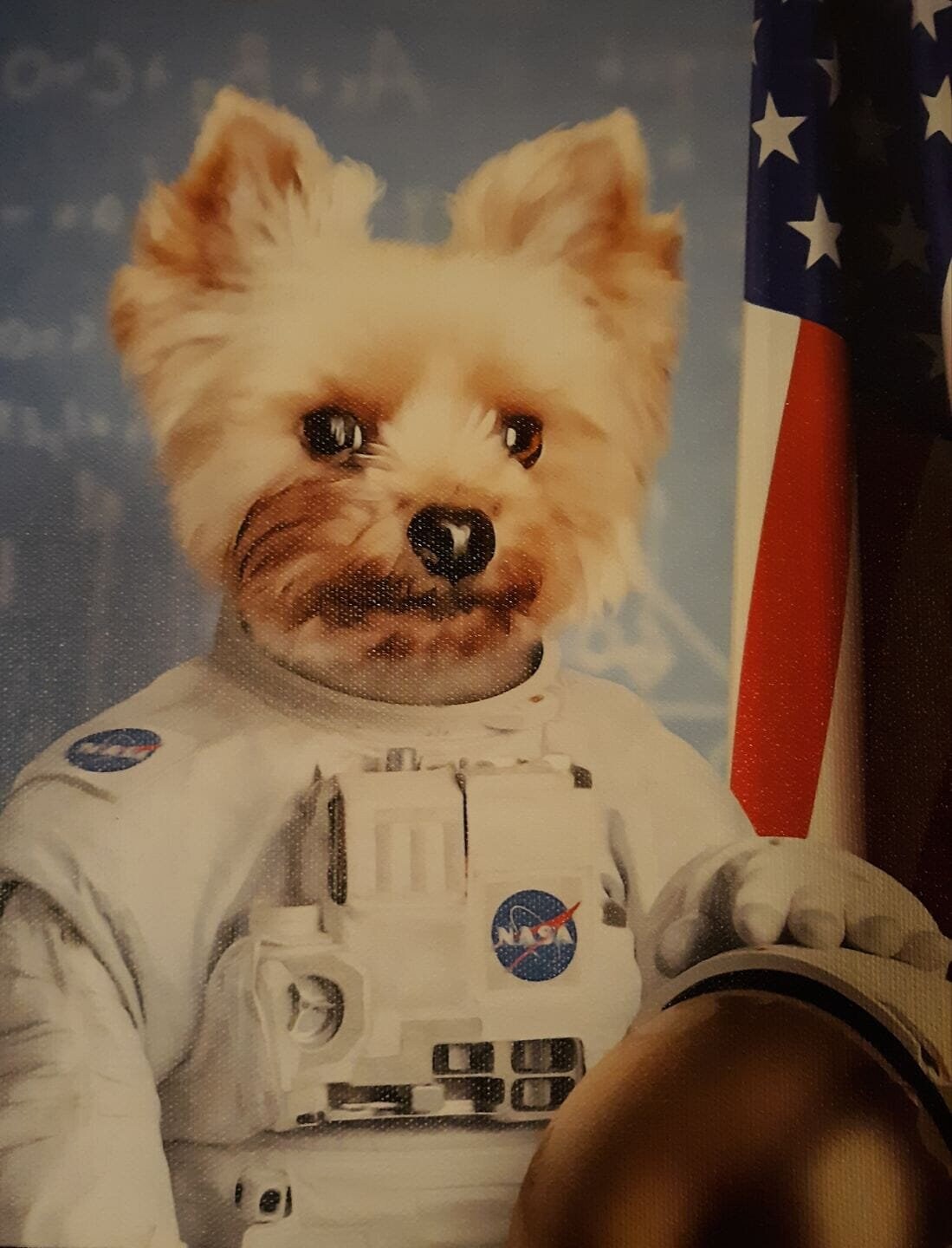 USA MADE Personalized Pet Portrait on Canvas, Poster or Digital Download | Astrofun - NASA Astronaut Inspired Custom Pet Portrait Canvas| Cu
