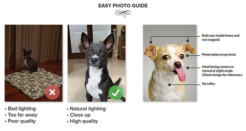 Image of USA MADE Personalized Pet Portrait on Canvas, Poster or Digital Download | Fluke Carchaser Jedi Luke & Star Wars Inspired Custom Pet Wallart