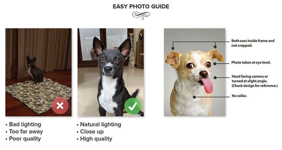 USA MADE Personalized Pet Portrait on Canvas, Poster or Digital Download | Fluke Carchaser Jedi Luke & Star Wars Inspired Custom Pet Wallart