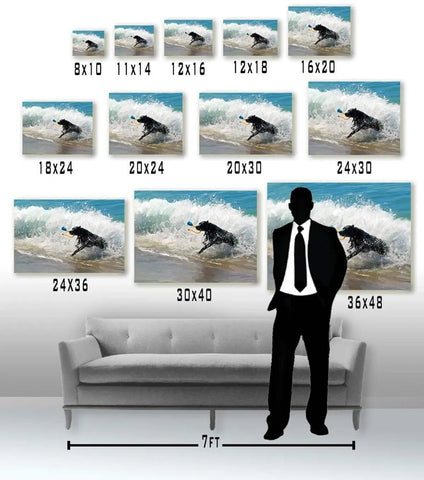 Image of USA MADE Personalized Pet Portrait on Canvas, Poster or Digital Download | Fluke Carchaser Jedi Luke & Star Wars Inspired Custom Pet Wallart