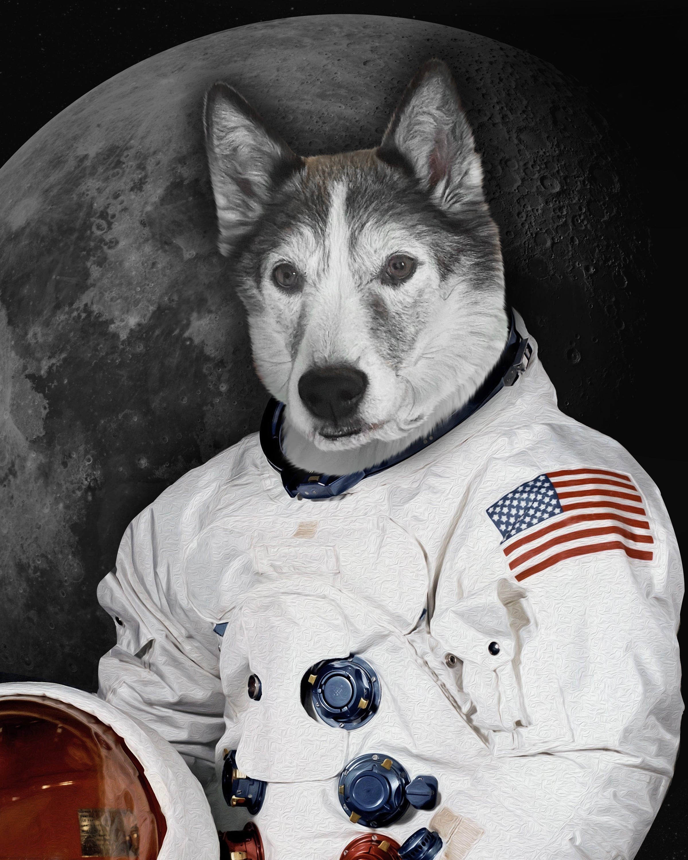 USA MADE The Moon Walker Custom Pet Portrait Personalized Dog Cat Canvas, Poster, Digital Download Wallarts | Customized Pet Gifts