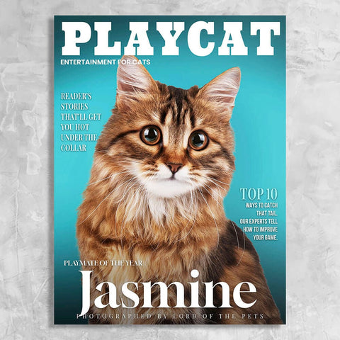 Image of USA MADE Playcat - Personalized Cat Magazine Cover Canvas Print | Personalized Pet Portrait on Canvas, Poster or Digital Download