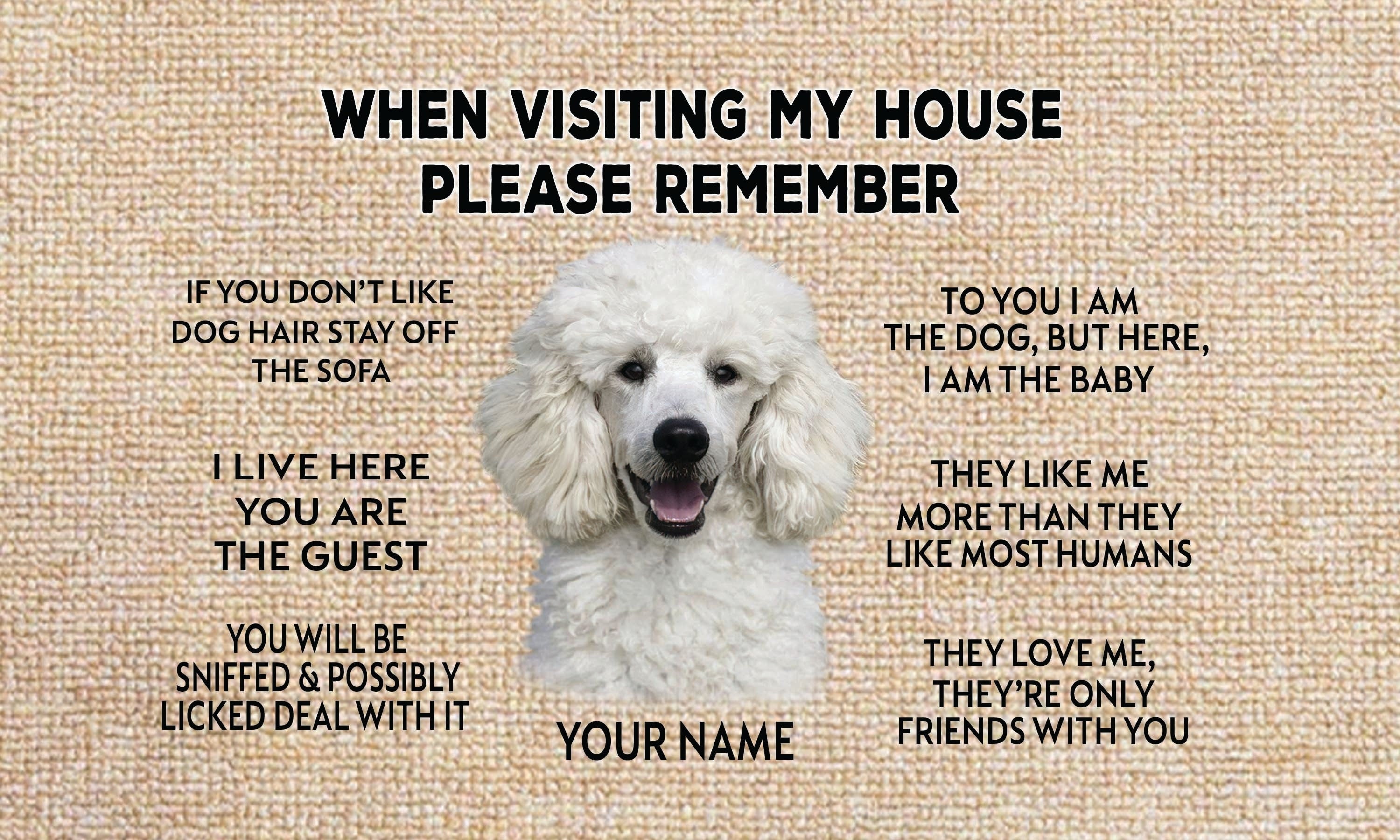 USA MADE When Visiting My House Doormat | Personalized Pet Doormat, Floormat, Kitchenmat Home Decor